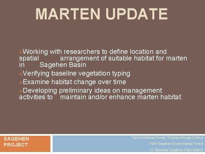 MARTEN UPDATE Working with researchers to define location and spatial arrangement of suitable habitat