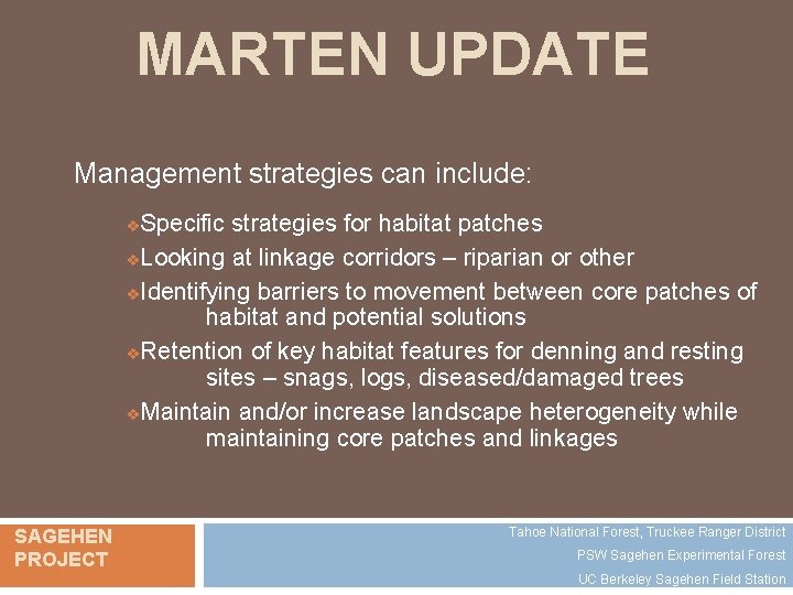 MARTEN UPDATE Management strategies can include: Specific strategies for habitat patches v. Looking at