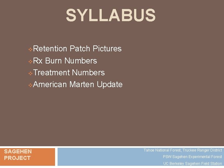 SYLLABUS Retention Patch Pictures v. Rx Burn Numbers v. Treatment Numbers v. American Marten