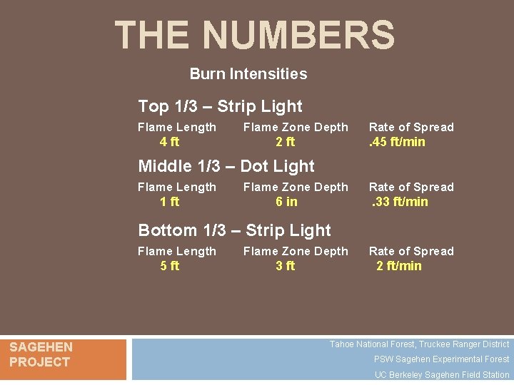 THE NUMBERS Burn Intensities Top 1/3 – Strip Light Flame Length 4 ft Flame