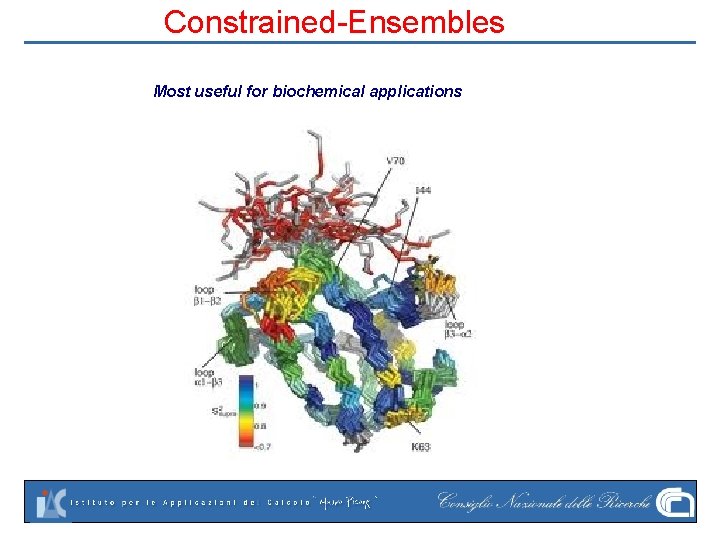 Constrained-Ensembles Most useful for biochemical applications 