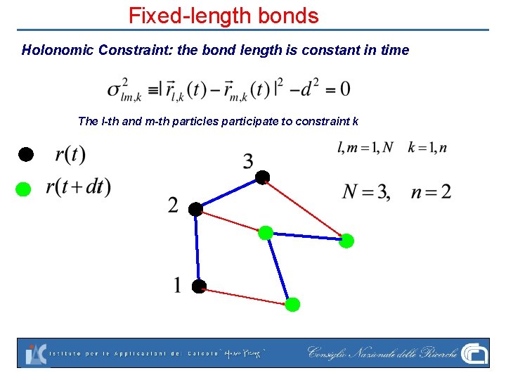 Fixed-length bonds Holonomic Constraint: the bond length is constant in time The l-th and