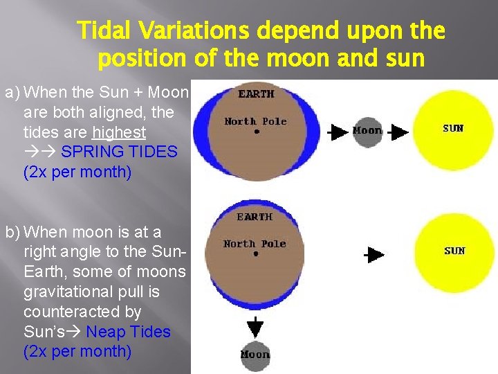 Tidal Variations depend upon the position of the moon and sun a) When the