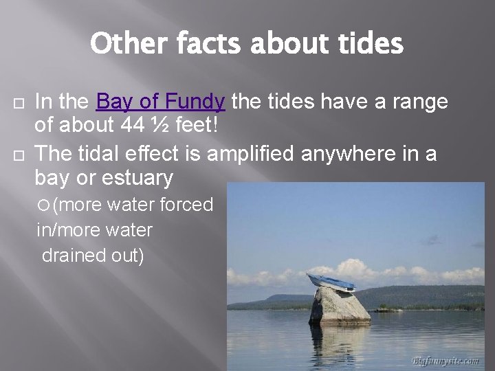 Other facts about tides In the Bay of Fundy the tides have a range