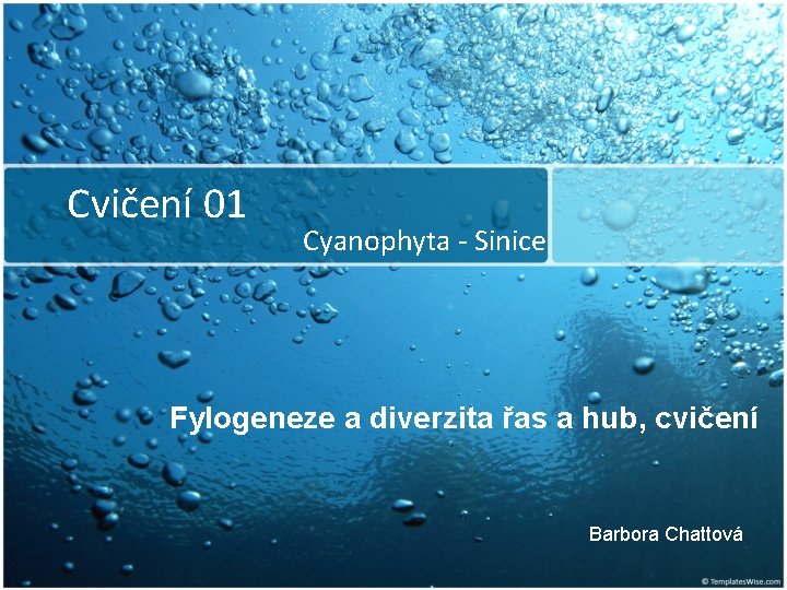 Cvičení 01 Cyanophyta - Sinice Fylogeneze a diverzita řas a hub, cvičení Barbora Chattová