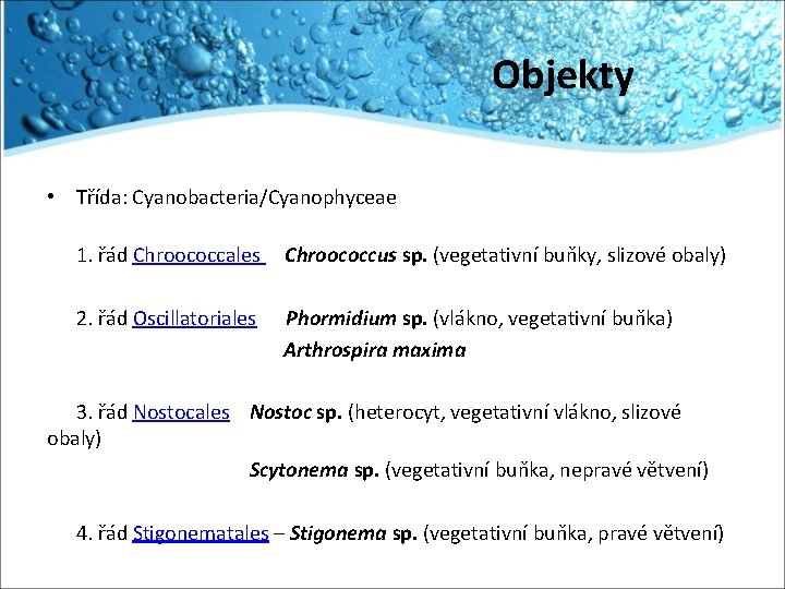 Objekty • Třída: Cyanobacteria/Cyanophyceae 1. řád Chroococcales Chroococcus sp. (vegetativní buňky, slizové obaly) 2.