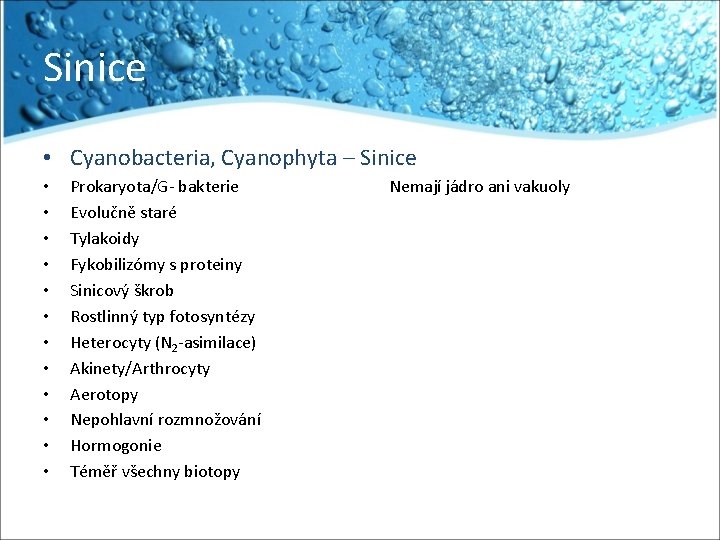 Sinice • Cyanobacteria, Cyanophyta – Sinice • • • Prokaryota/G- bakterie Evolučně staré Tylakoidy