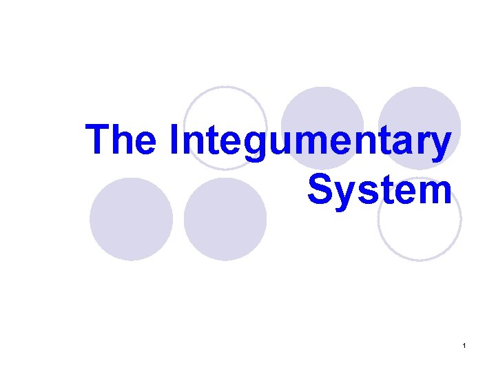 The Integumentary System 1 