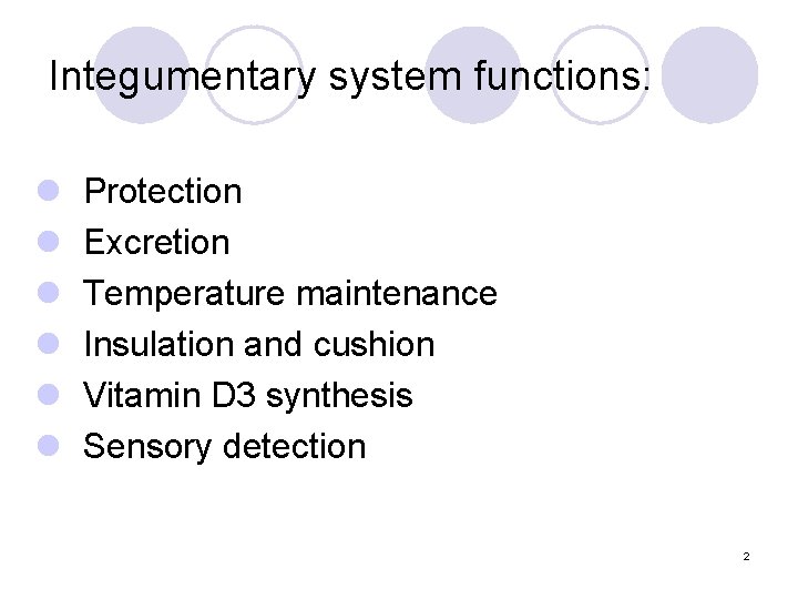 Integumentary system functions: l l l Protection Excretion Temperature maintenance Insulation and cushion Vitamin Integumentary system functions: l l l Protection Excretion Temperature maintenance Insulation and cushion Vitamin