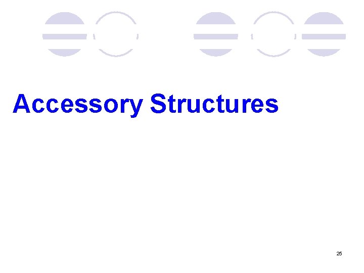 Accessory Structures 25 Accessory Structures 25