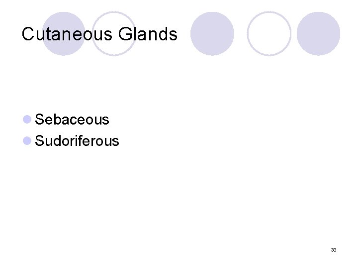 Cutaneous Glands l Sebaceous l Sudoriferous 33 Cutaneous Glands l Sebaceous l Sudoriferous 33