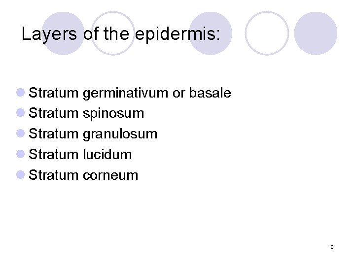 Layers of the epidermis: l Stratum germinativum or basale l Stratum spinosum l Stratum