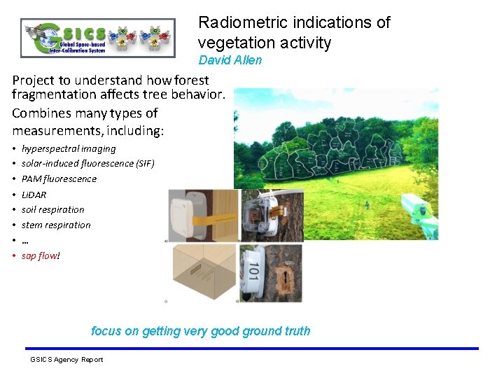 Radiometric indications of vegetation activity David Allen Project to understand how forest fragmentation affects