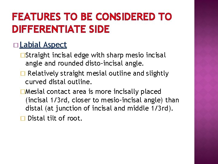 FEATURES TO BE CONSIDERED TO DIFFERENTIATE SIDE � Labial Aspect �Straight incisal edge with