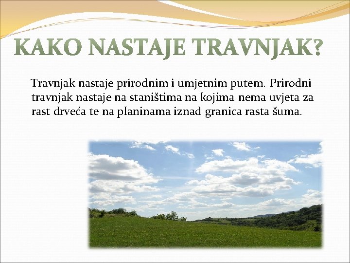 Travnjak nastaje prirodnim i umjetnim putem. Prirodni travnjak nastaje na staništima na kojima nema