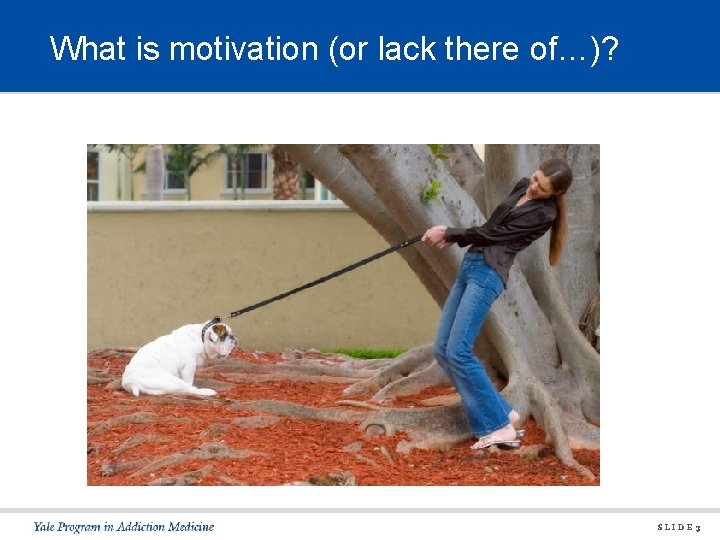 What is motivation (or lack there of…)? SLIDE 3 