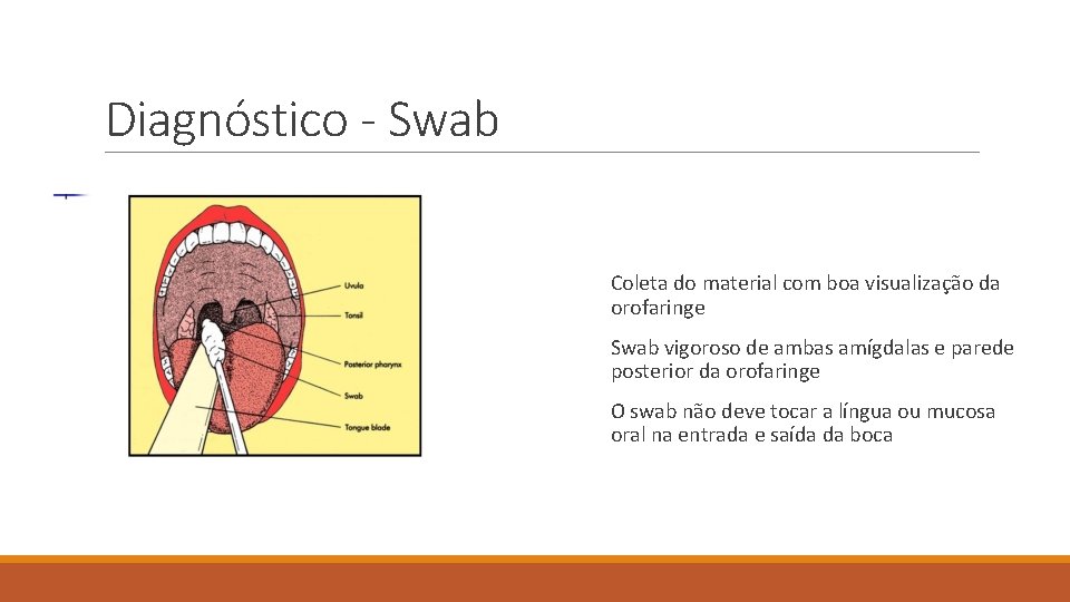 Diagnóstico - Swab Coleta do material com boa visualização da orofaringe Swab vigoroso de