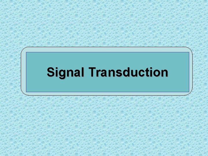 Signal Transduction 