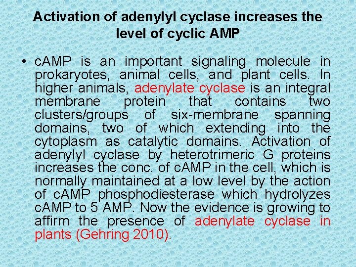 Activation of adenylyl cyclase increases the level of cyclic AMP • c. AMP is