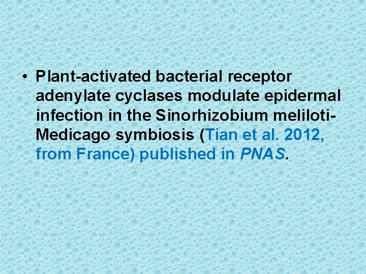  • Plant-activated bacterial receptor adenylate cyclases modulate epidermal infection in the Sinorhizobium meliloti.