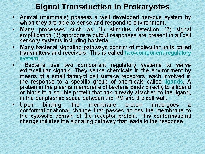 Signal Transduction in Prokaryotes • Animal (mammals) possess a well developed nervous system by