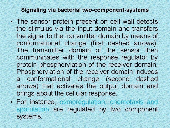 Signaling via bacterial two-component-systems • The sensor protein present on cell wall detects the