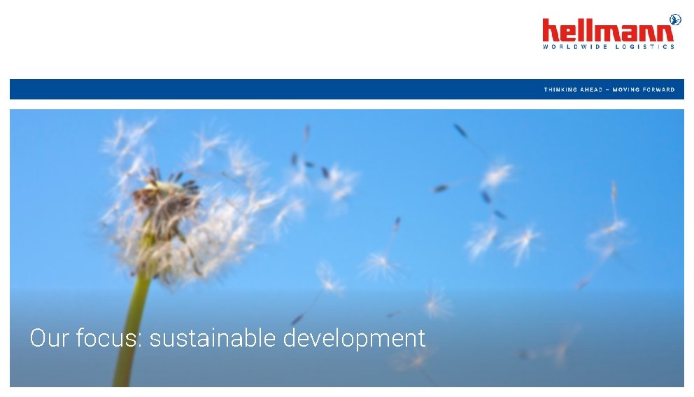 Our focus: sustainable development 