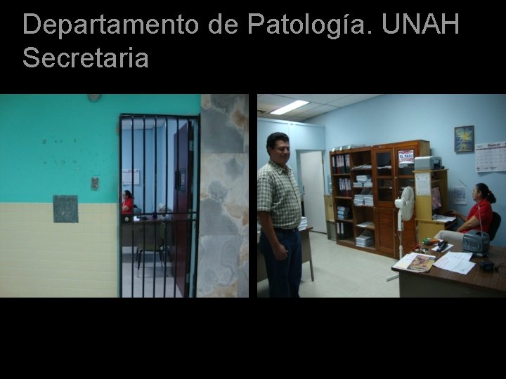 Departamento de Patología. UNAH Secretaria 