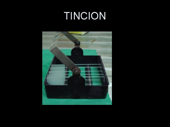 TINCION 