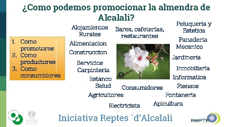 ¿Como podemos promocionar la almendra de Alcalali? Alojamientos Rurales 1. Como promotores 2. Como