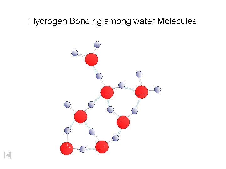 Hydrogen Bonding among water Molecules 