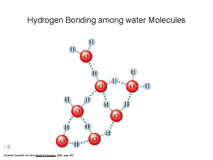 Hydrogen Bonding among water Molecules Zumdahl, De. Coste, World of Chemistry 2002, page 443