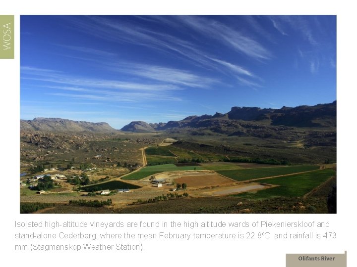 Isolated high-altitude vineyards are found in the high altitude wards of Piekenierskloof and stand-alone