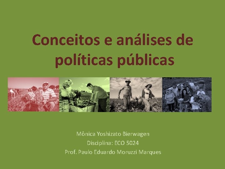 Conceitos e análises de políticas públicas Mônica Yoshizato Bierwagen Disciplina: ECO 5024 Prof. Paulo