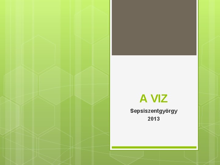 A VIZ Sepsiszentgyörgy 2013 