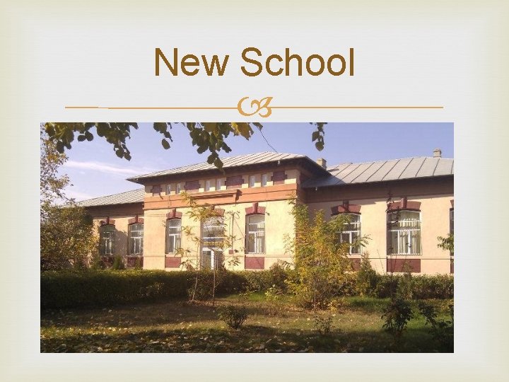 New School 