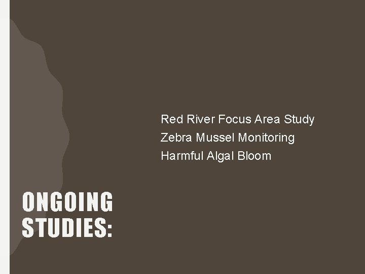 Red River Focus Area Study Zebra Mussel Monitoring Harmful Algal Bloom ONGOING STUDIES: 