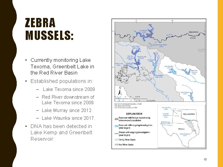 ZEBRA MUSSELS: • Currently monitoring Lake Texoma, Greenbelt Lake in the Red River Basin