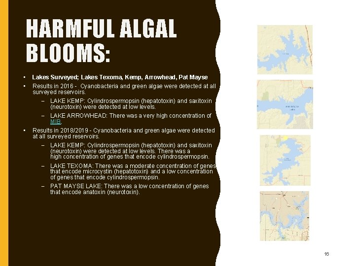 HARMFUL ALGAL BLOOMS: • • • Lakes Surveyed; Lakes Texoma, Kemp, Arrowhead, Pat Mayse