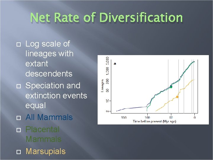 Net Rate of Diversification Log scale of lineages with extant descendents Speciation and extinction