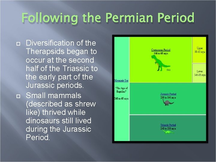 Following the Permian Period Diversification of the Therapsids began to occur at the second