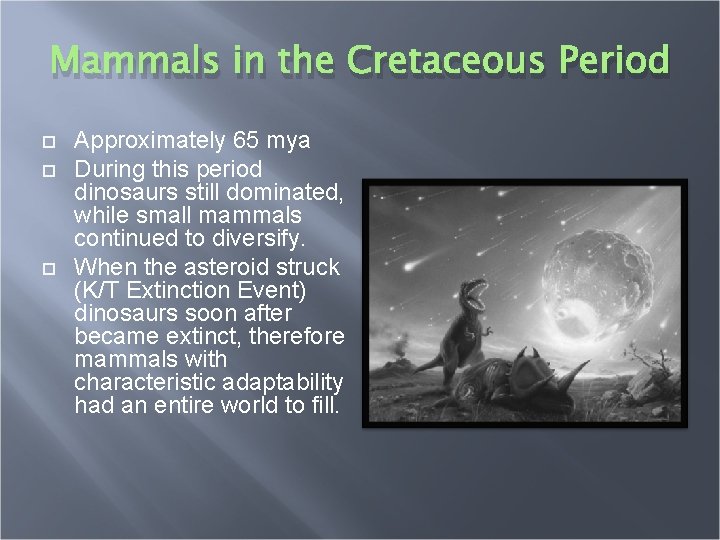 Mammals in the Cretaceous Period Approximately 65 mya During this period dinosaurs still dominated,