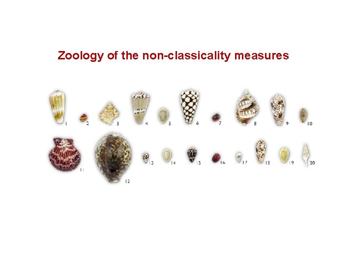 Zoology of the non-classicality measures Zoology of the non-classicality measures