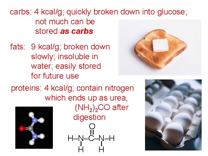 carbs: 4 kcal/g; quickly broken down into glucose; not much can be stored as