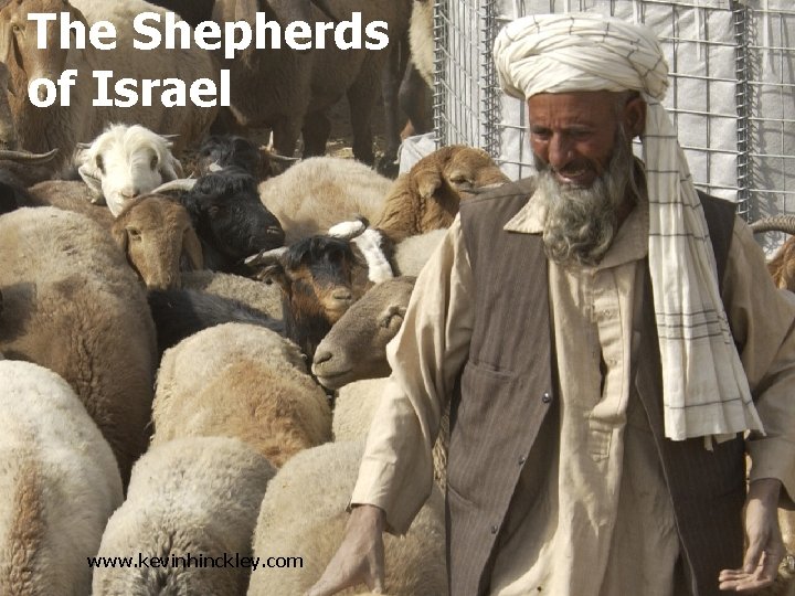 The Shepherds of Israel www. kevinhinckley. com The Shepherds of Israel www. kevinhinckley. com