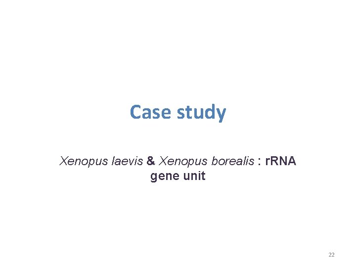 Case study Xenopus laevis & Xenopus borealis : r. RNA gene unit 22 Case study Xenopus laevis & Xenopus borealis : r. RNA gene unit 22