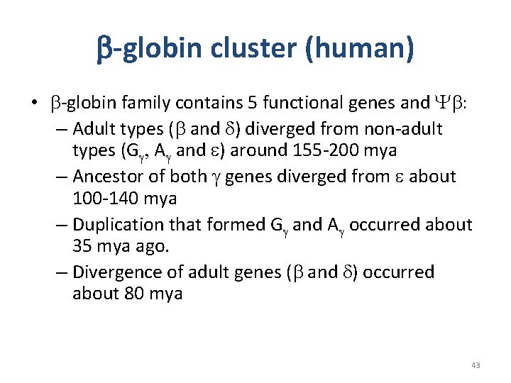 b-globin cluster (human) • b-globin family contains 5 functional genes and Yb: – Adult b-globin cluster (human) • b-globin family contains 5 functional genes and Yb: – Adult