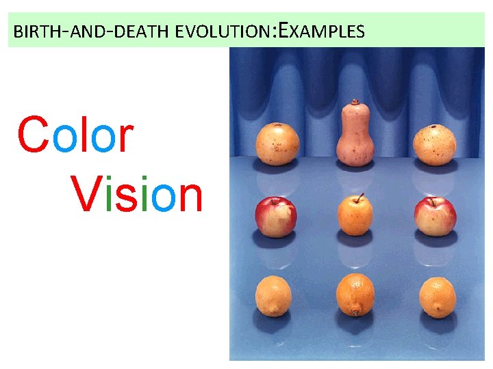 BIRTH-AND-DEATH EVOLUTION: EXAMPLES Color Vision 55 BIRTH-AND-DEATH EVOLUTION: EXAMPLES Color Vision 55