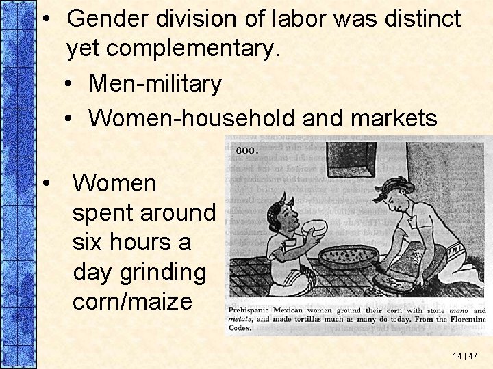  • Gender division of labor was distinct yet complementary. • Men-military • Women-household