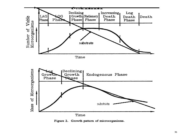 Substrate substrate 31 